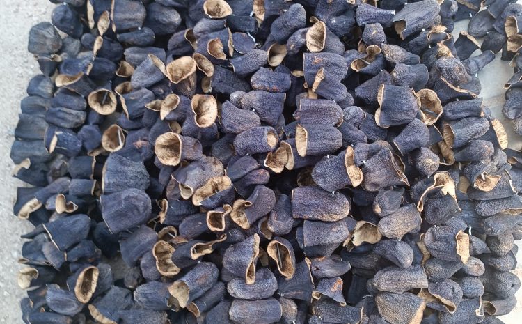 dried-eggplant-kurutulmus-dolmalik-patlican-turkey (1)