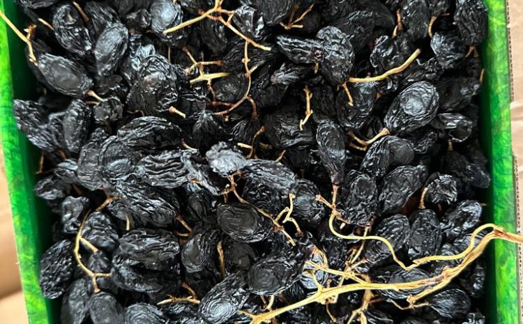 kuru-uzum-cesitleri-turkiye-dried-grape3