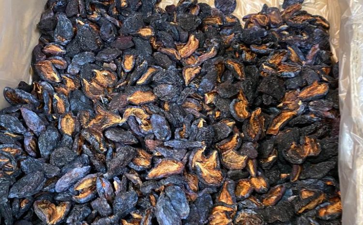 dried-plum-erik-kurusu-from-turkiye-turkey