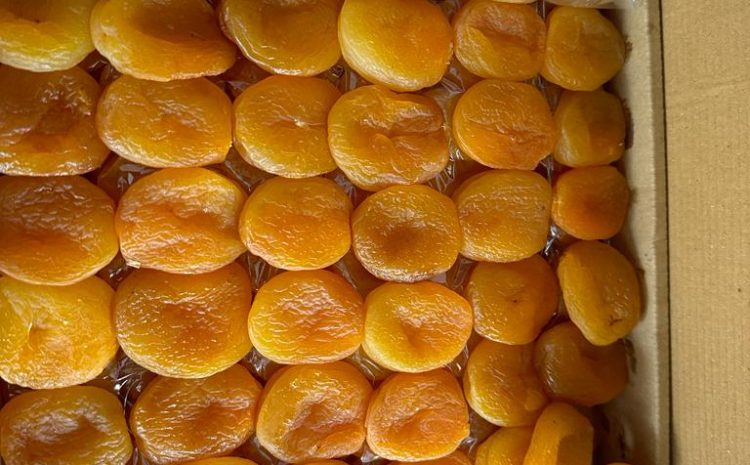 kayisi-kurusu-dried-apricot-turkey-turkiye